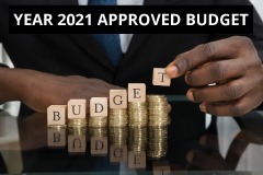 Budget Report Y2021